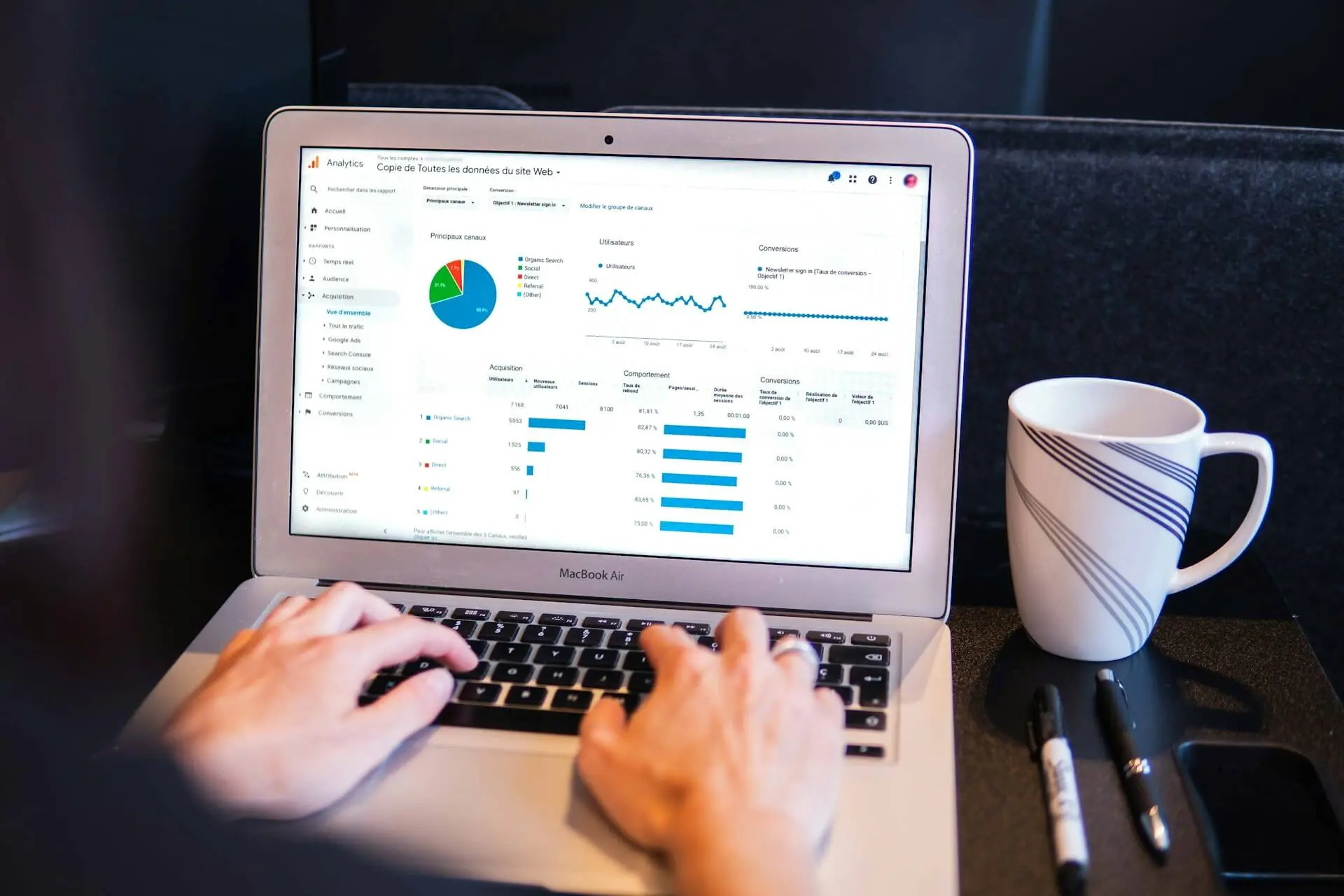 Website audit preview